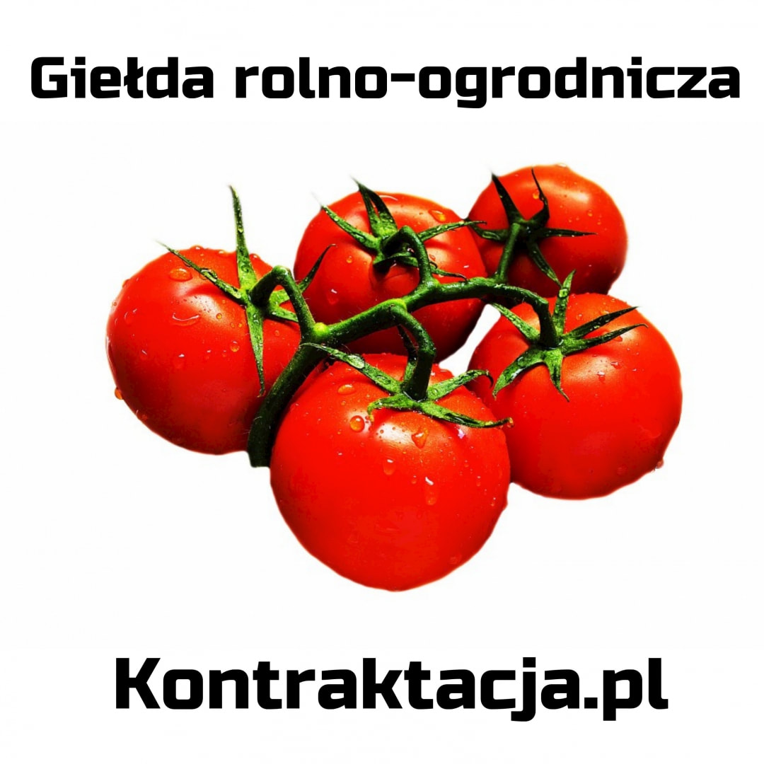 Giełda rolno ogrodnicza i przemysłowa Kontraktacja.pl